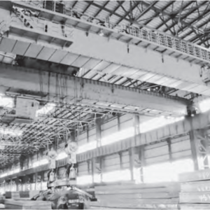 Overhead Crane with Tongs